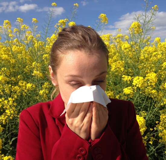 Most common seasonal allergies in the US