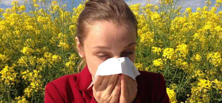 Most common seasonal allergies in the US